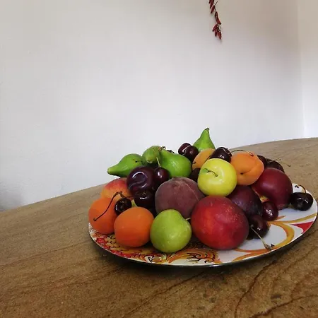 Karol Room&apartment 아파트 트로페아